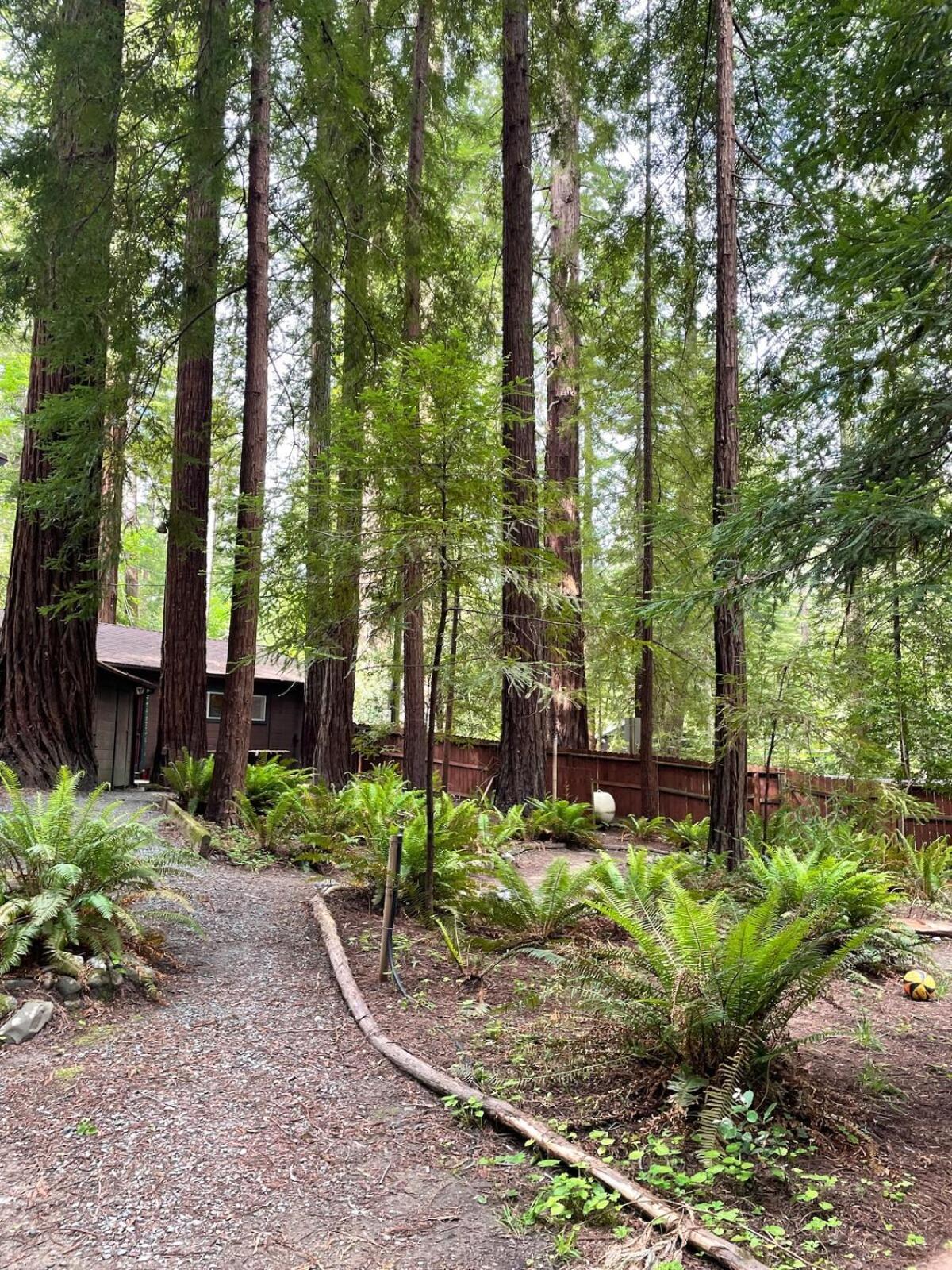 The Groves At Redway Beach - Studio Bagian luar foto